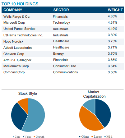 Top Holdings for website DGS 
